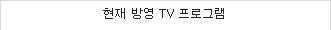 현재 방영 tv 프로그램
